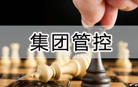 集团掌控解决方案