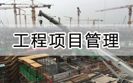 项目资产解决方案