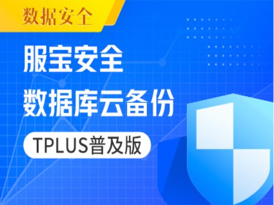 厦门用友软件TPLUS普及版服宝安全-数据库云备份